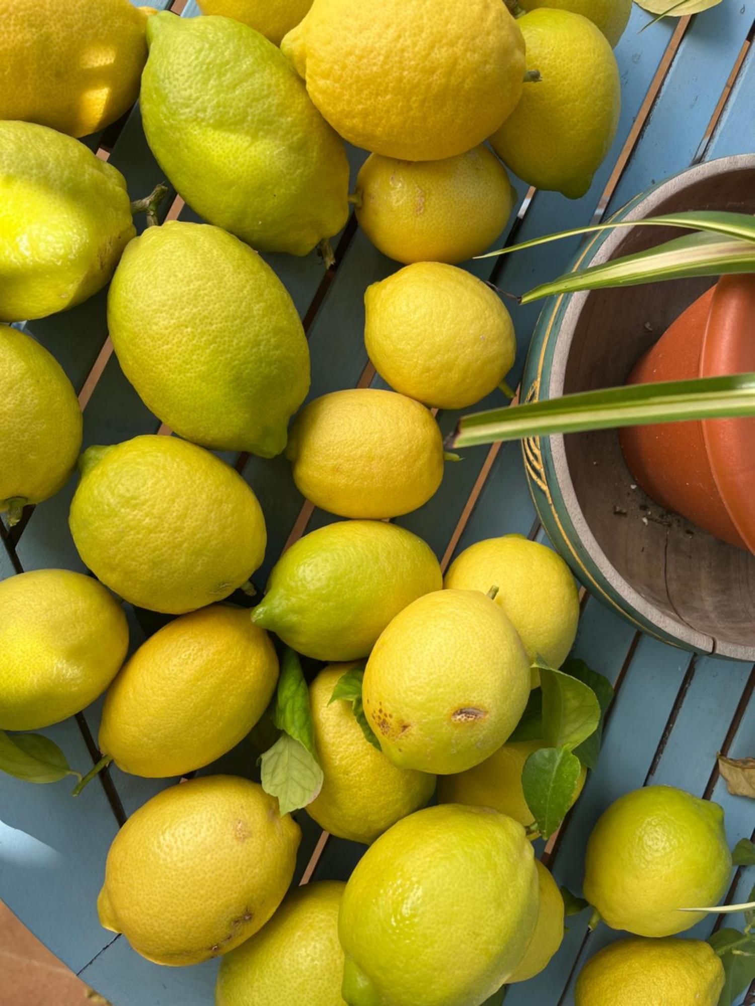 エシハ El Patio Del Limoneroヴィラ エクステリア 写真